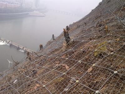 邊坡防護網價格，主動邊坡防護網生產廠家原始圖片3
