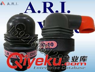 以色列ARI排氣閥艾瑞DG-10復(fù)合型原裝進(jìn)口2寸農(nóng)業(yè)噴灌煤礦防塵閥