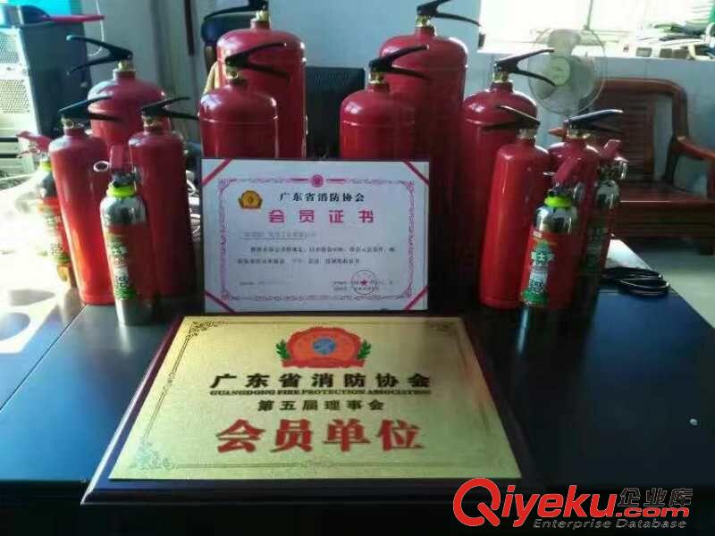 廣東環(huán)保阻燃MSWJ950火冰型便攜水基滅火器