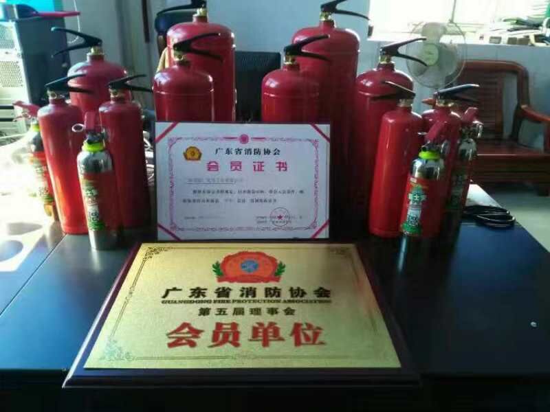 環(huán)保阻燃延廣牌MSZ/9火冰型水基滅火器