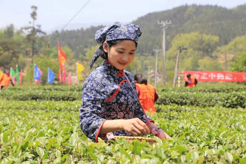 桂東首屆（三月三）茶歌節