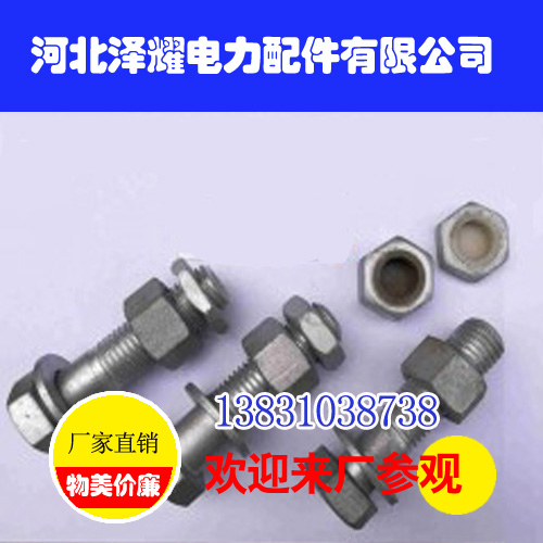 鐵塔螺栓,鐵塔螺栓廠家,河北澤耀電力配件