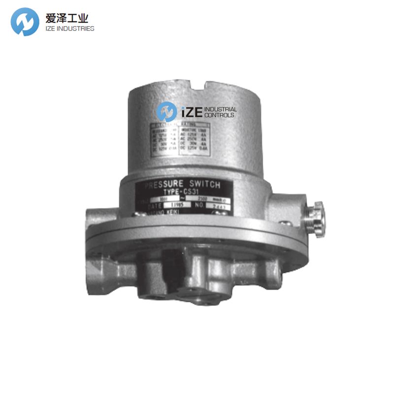 臺灣TWOWAY壓力繼電器DNB-250K-22B