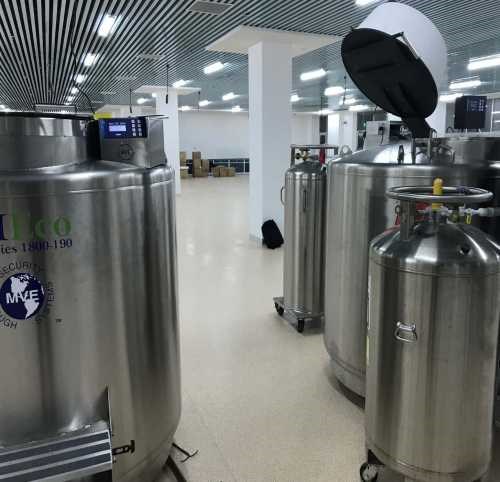 液氮罐模型訂做 進口液氮轉移罐SC8/5 上海市賽岐貿易有限