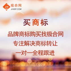 广州服装商标转让电话_中国商标交易平台_广东联肯知识产权运营