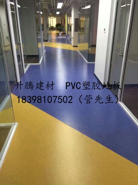 南充PVC塑膠地板防靜電地板安裝EPDM塑膠遂寧懸浮地板醫(yī)用扶手