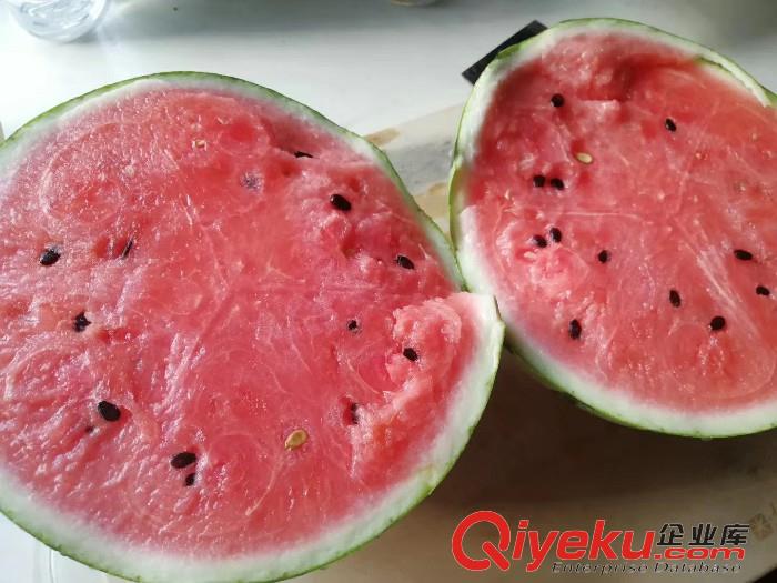 華美羽牌8424西瓜，帶你品嘗夏天的味道
