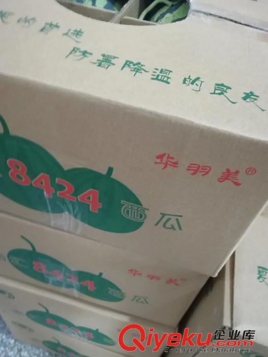 華羽美zz南匯8424西瓜，清涼一夏天_上海瑤利原始圖片3