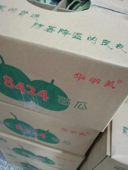南匯8424西瓜火爆銷售中，吃瓜的季節(jié)又來了！_上?，幚紙D片2