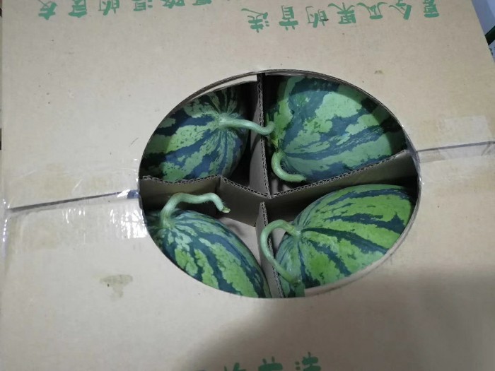 南匯8424西瓜火爆銷售中，吃瓜的季節(jié)又來了！_上?，幚紙D片3