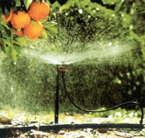園林灌溉管件_貼條式滴灌帶設備_萊蕪市科普塑料機械有限公司