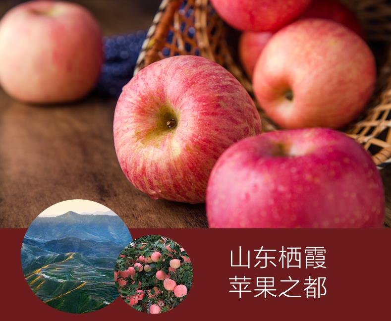 成都紅富士蘋(píng)果多少錢(qián)-四川丑柑產(chǎn)地直銷-成都宇昊電子商務(wù)有限