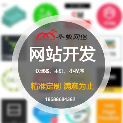 模板网站开发推广/东莞触摸屏软件开发口碑好/东莞市圣蚁网络有