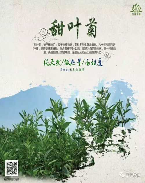 江苏甜叶菊代理_高血糖可食用罗汉糖批发_拉萨宝莲生物科技股份