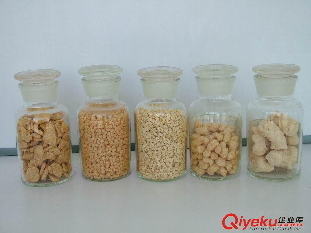 大豆組織蛋白生產(chǎn)設(shè)備