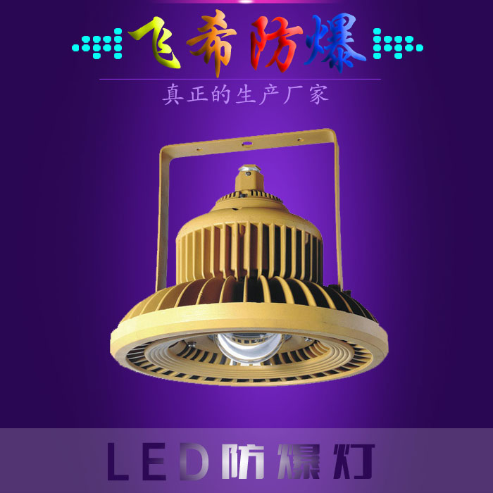 BAD808-L2 LED防爆泛光燈LED防爆路燈頭100W