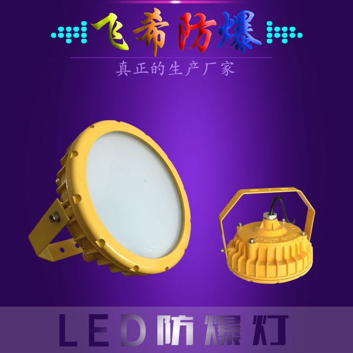 BC9303  30W應(yīng)急LED防爆燈 免維護(hù)LED防爆燈 {gx}節(jié)能LED防爆燈