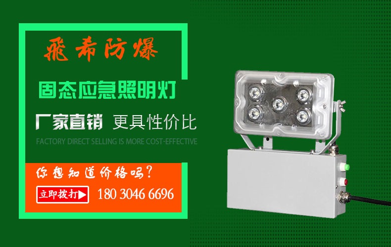 NFE9189AB  變電站應(yīng)急照明燈 固態(tài)應(yīng)急免維護(hù)頂燈