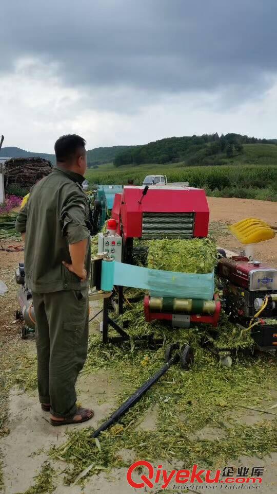 牛羊飼草打捆包膜機型號齊全/樂陵通達機械/牧草打捆包膜機行情