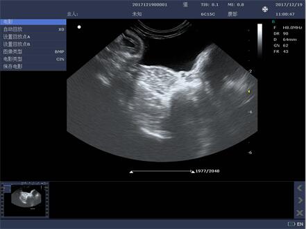 寵物醫(yī)院專用寵物彩超