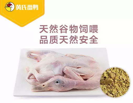 齊毛鴨新鮮散養農家zz