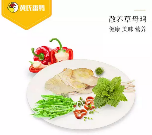 草母雞zz散養(yǎng)