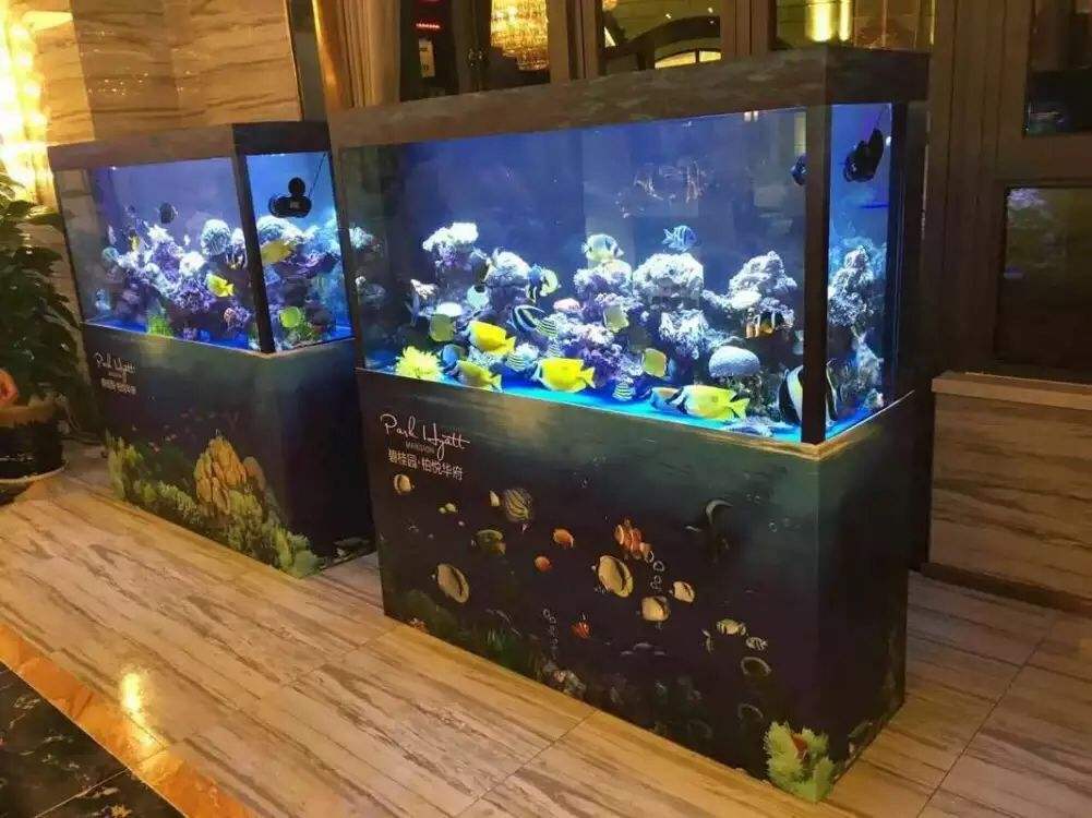 海洋展出租海獅租憑海豹租售水母展出租