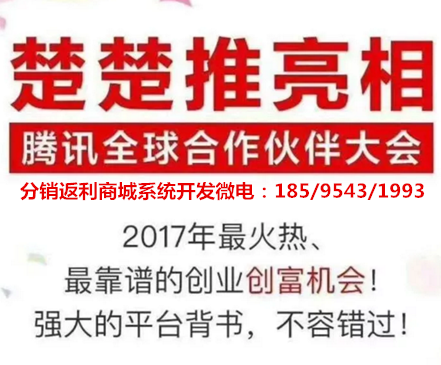 楚楚推商城模式分銷返利系統源碼開發原始圖片2