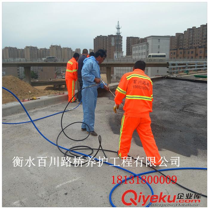  衡水百川 專業(yè)承接防水防腐保溫工程 專業(yè)施工 質(zhì)量放心原始圖片2