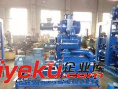 淄博廠家定制JZJ2S羅茨水環(huán)真空機(jī)組