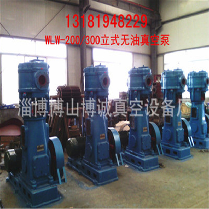 博誠WLW100立式無油往復真空泵，WLW70.150原始圖片2