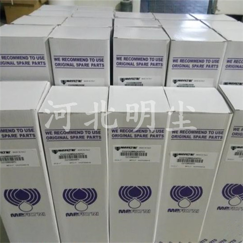 CS10025翡翠濾芯MP FILTRI原始圖片2