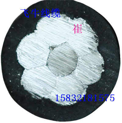遼寧興城生產(chǎn)廠家電線電纜翁牛架空線JKLYJ1*150國標(biāo)