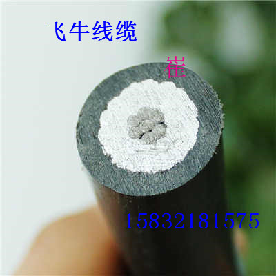 遼寧興城生產(chǎn)廠家電線電纜翁牛架空線JKLYJ1*150國標(biāo)