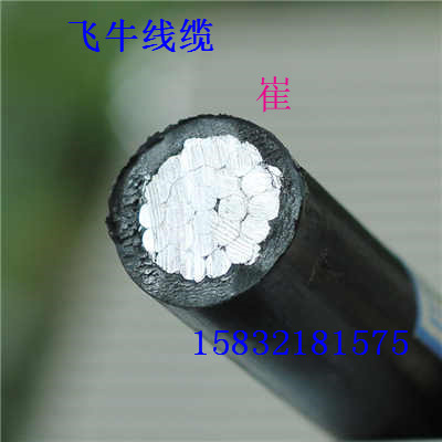安徽宿州電線電纜廠家現(xiàn)貨直銷架空線JKLYJ150國標(biāo)原始圖片2