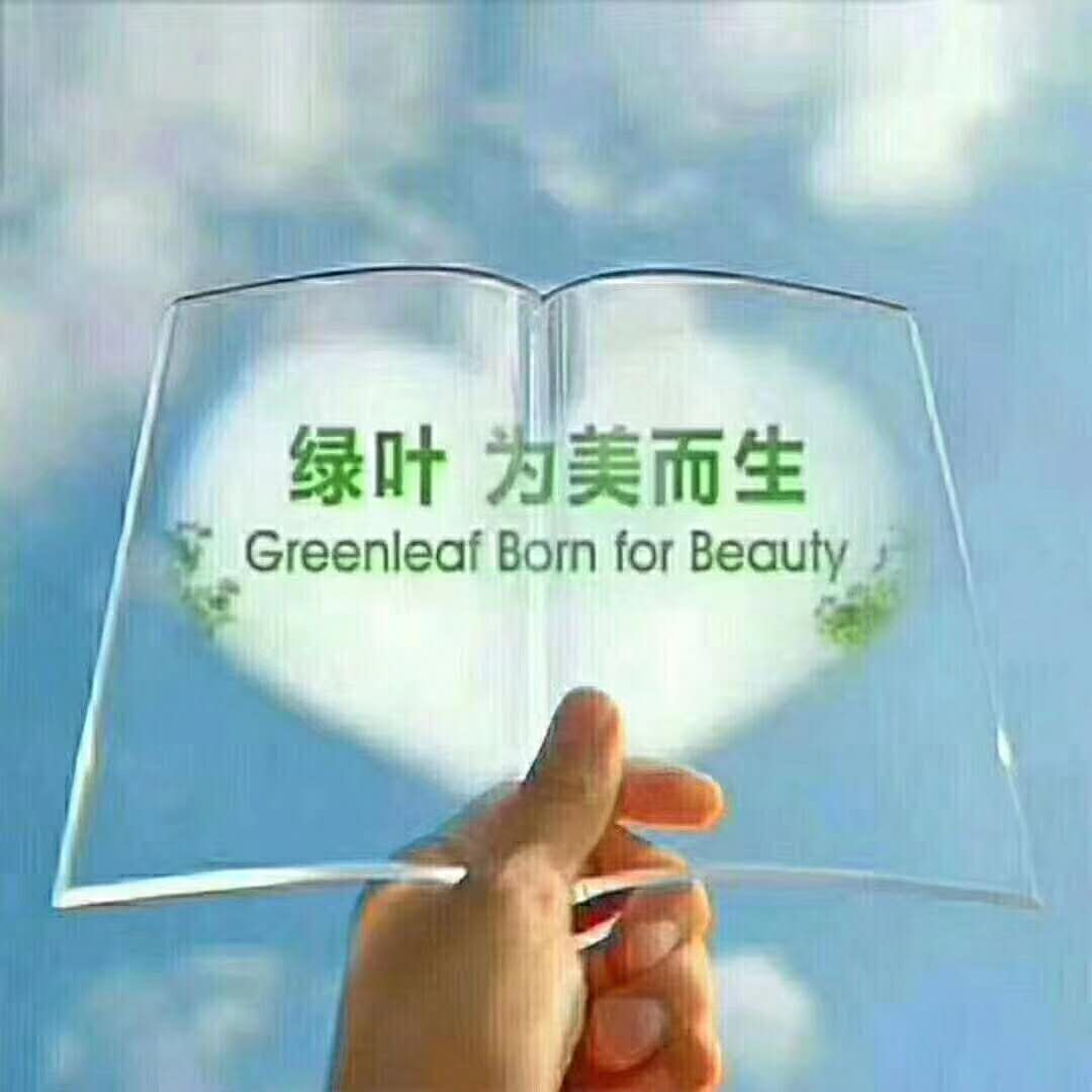 蘇州綠葉加盟選哪個團隊好