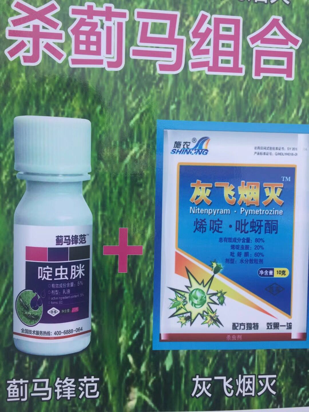 白粉虱 50%噻蟲嗪 白粉+薊馬組合原始圖片3