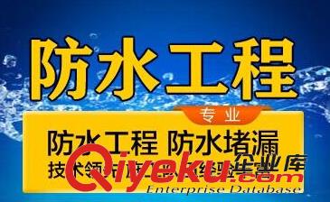 深圳防水補漏 深圳建筑防水堵漏 深圳防水補漏工程原始圖片2
