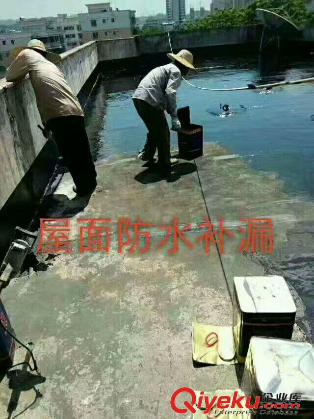深圳防水補漏 深圳建筑防水堵漏 深圳防水補漏工程原始圖片3