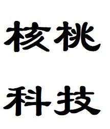 天津河西做網站貴嗎/天津全景制作貴嗎/天津核桃科技有限公司