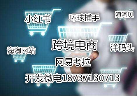 網(wǎng)易考拉海購洋碼頭跨境電商模式系統(tǒng)開發(fā)