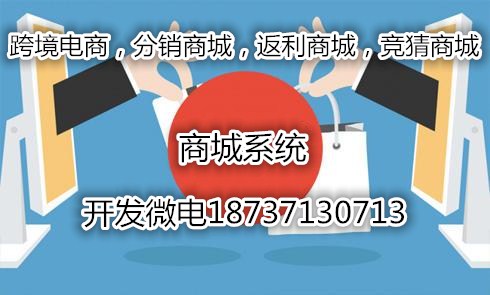 網(wǎng)易考拉海購洋碼頭跨境電商模式系統(tǒng)開發(fā)
