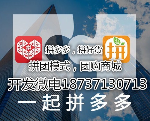 拼好貨商城系統開發拼多多拼團模式原生APP開發