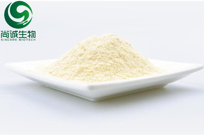 蘆薈提取物 蘆薈素