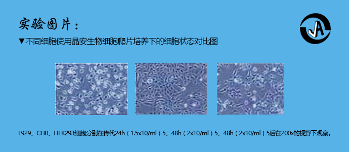 上海百千生物J48001细胞爬片48孔板配套用8mm免疫荧光细胞贴壁无菌