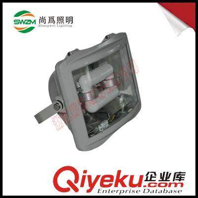 SW7221_尚為SW7221_SW7221無極泛光燈
