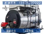 WNS6燃气锅炉参数