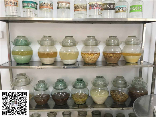 廣西唐三鏡全套釀酒設備多少錢