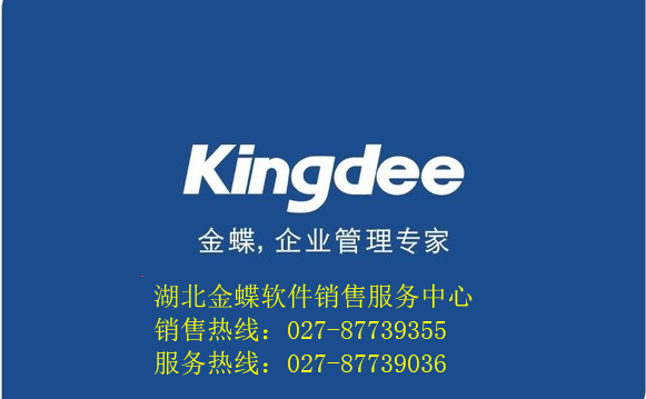 武汉金蝶精斗云销售 在线做账软件 随时随地做账查账