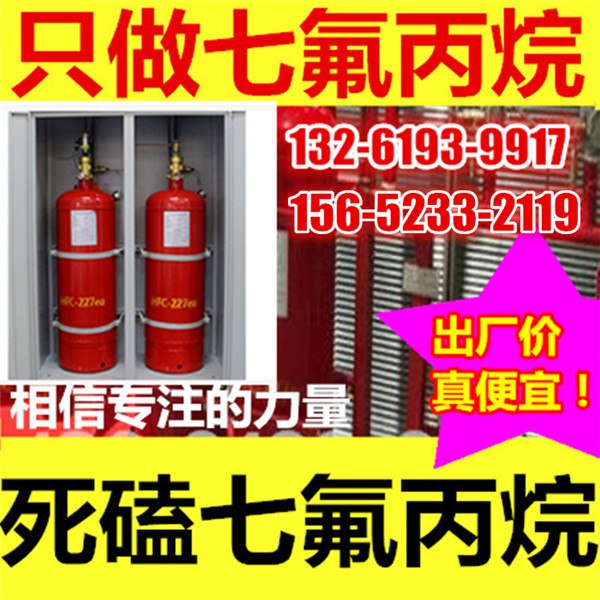 備壓式七氟丙烷滅火裝置廠家
